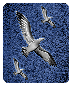 DF35 000 SL SH BL Silver Birds Shimmer Blue PROOF